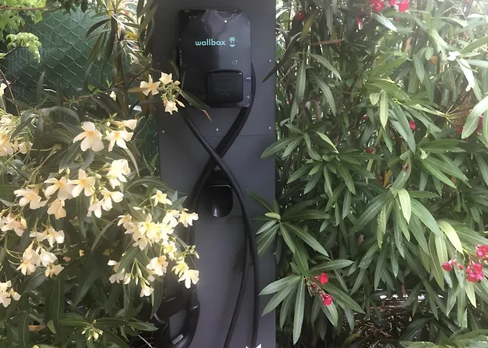 Les Oliviers Lägenhet